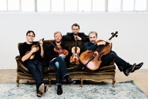 Image Not Found On Media Library