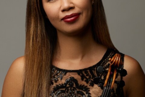 Image Not Found On Media Library