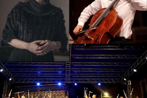 Image Not Found On Media Library