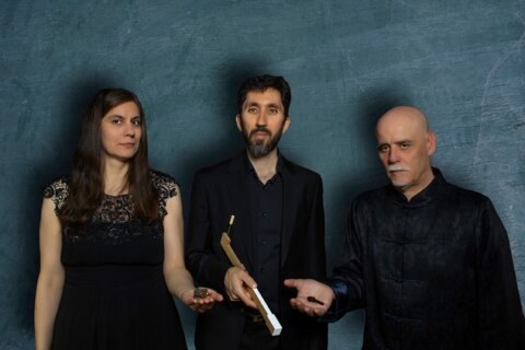 Image Not Found On Media Library