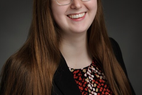 Image Not Found On Media Library