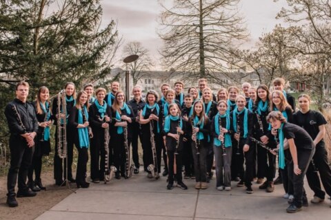 Image Not Found On Media Library