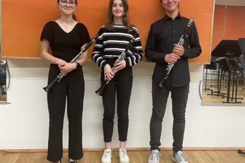 Image Not Found On Media Library