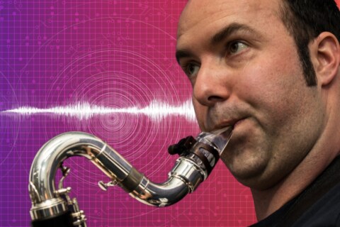 Image Not Found On Media Library