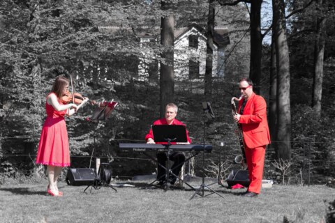 Image Not Found On Media Library