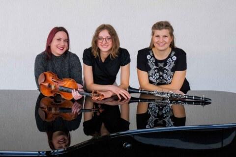 Image Not Found On Media Library