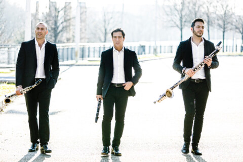 Image Not Found On Media Library