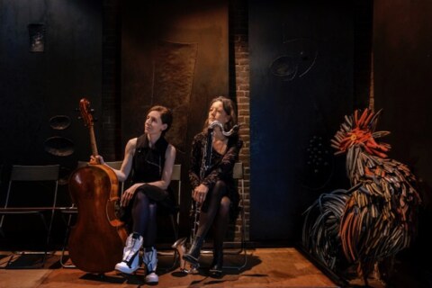 Image Not Found On Media Library