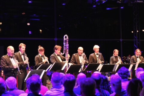 Image Not Found On Media Library