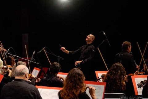 Image Not Found On Media Library