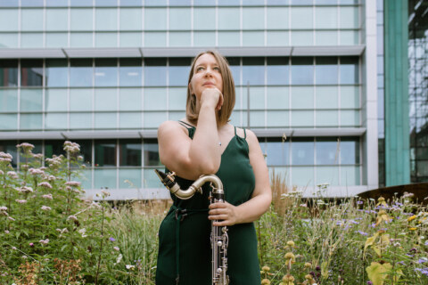 Image Not Found On Media Library