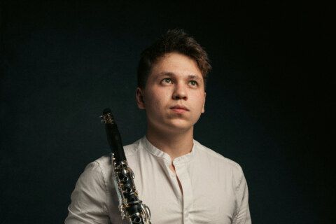 Image Not Found On Media Library