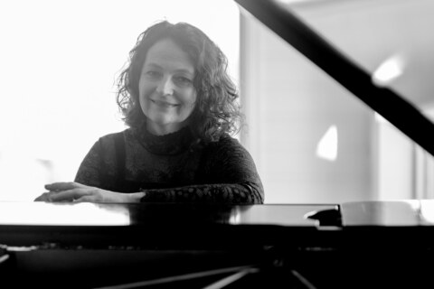 Image Not Found On Media Library