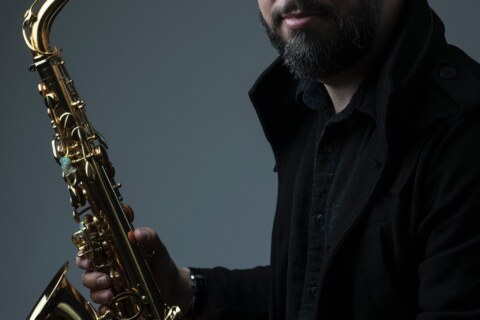 Image Not Found On Media Library